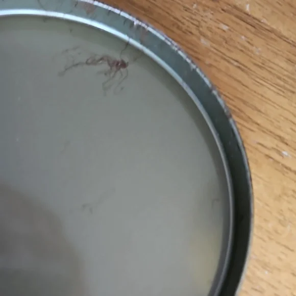 Cracker Jack Tin - Picture 9 of 11